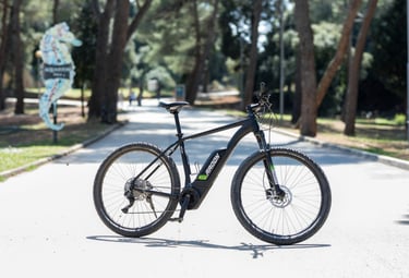 Black Radon electric mountain bike parked on a paved park path surrounded by tall green trees.
