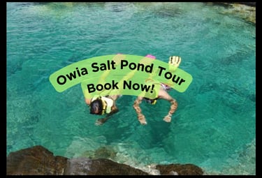 Owia Salt Pond Tour with Trubb Taxi Tours SVG