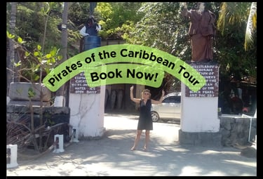 Pirates of the Caribbean Tour with Trubb Taxi Tours SVG