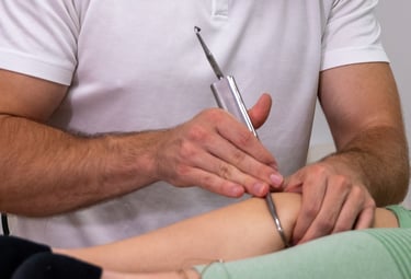 técnica instrumental