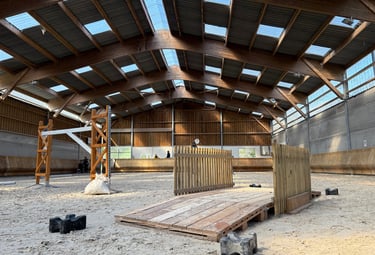 equitation de travail