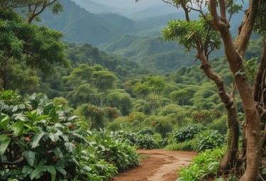 a man riding a skateboard down the side of a ramp