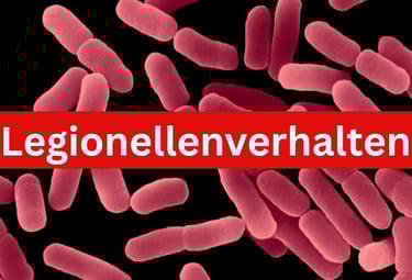 Legionellenverhalten