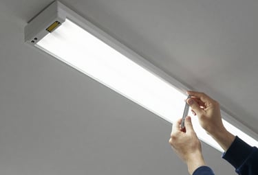 A handyman painting a wall in a bright office space with care.
