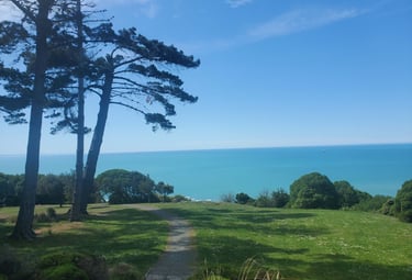 A park, grassy areas, trees, the sea in the background, blue sky