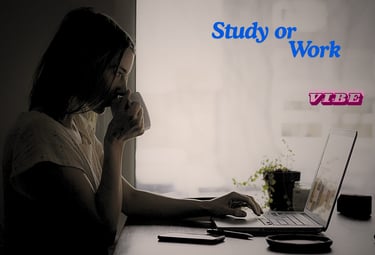 Best Student Laptop, M3 Chip Performance, Slim Laptops 2026.