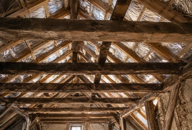 Rénovation et traitement de charpente ancienne