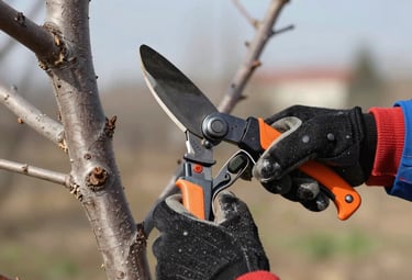 Élagage d’arbres à Genève