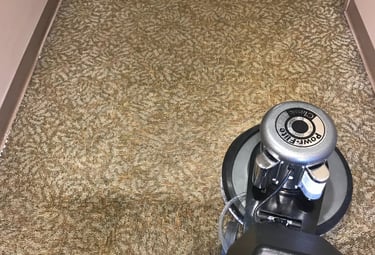 Commercial Carpet Cleaning in Ormond Beach, Florida