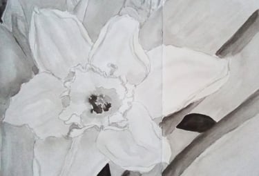 daffodil painting monochrome