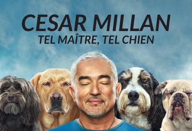 cesar millan tel maître, tel chien