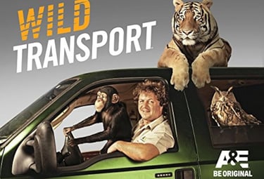 wild transport