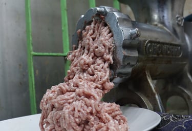 a person is holding a plate with meat and meat