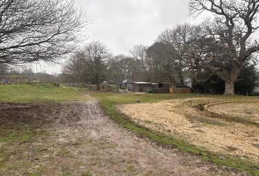 A muddy farm track leading toward rustic wooden animal shelters and bare trees on a cloudy day.