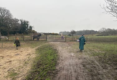 Two people walking towards horses in a muddy paddock on a cloudy day at an equestrian farm.