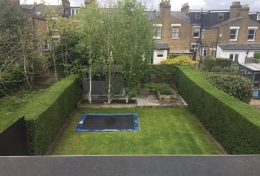 Hedge cutting and trimming