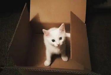 OKX $50 Mystery Box bonus for new users with referral code BONUSOK