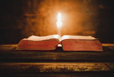 image from freepik.com