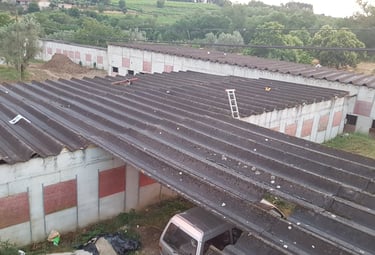 a truck parked on a roof with a ladder