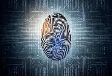 Visual Identity - We craft appealing visual identities that make your brand unique and memorable.