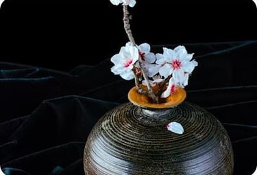 white petaled flowers