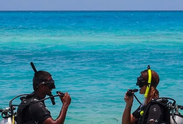 two scuba divers in the water with their equipment