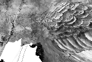 Image from the graphic novel Manu Fly to the Sea by Emma Louise Pratt, Koekoea Studio