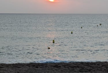 Terapia online asequible España