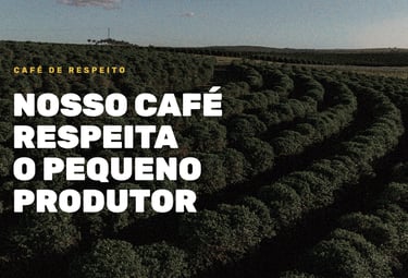 Criação de Identidade Visual | Cafehafen | Cafés Especiais
