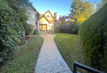 Cedar Hedge
