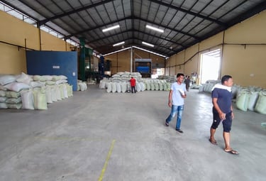 Operations inside the warehouse of green bean coffee  procesisng.