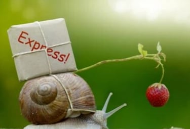 Give through snail mail