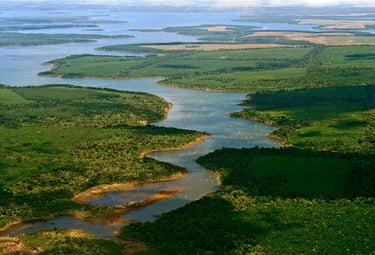 Esteros del Ibera - Wetlands in Corrientes