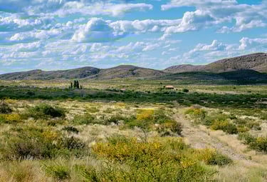 By Hardscarf - Own work, CC BY-SA 4.0, https://commons.wikimedia.org/w/index.php?curid=46088462