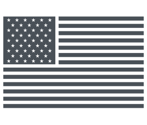 Unitide States Flag Icon