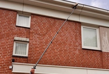 Glazenwasser Meppel - telescopisch wassen