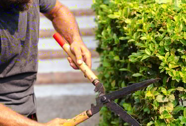 lawn mowing services mackay