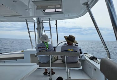 Skippered sailboat delivery and crew services