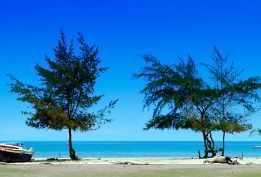 Casuarina beach