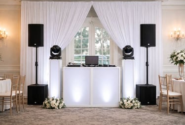 Pro DJ system at wedding