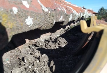 Улук, пълен с пръст и отпадъци преди почистване, представящ общите ремонтни дейности Hedgie Wilder