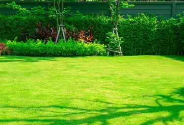 A healthy, vibrant lawn with thick green grass three months after being reseeded in Maritsa, Plovdiv