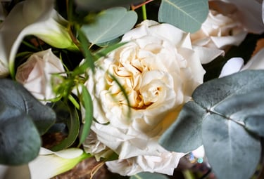 Wedding marketing - Reason Marketing Marketing Consultant