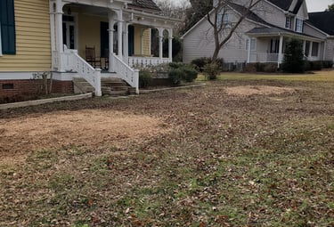 Stump No More Stump Grinding After