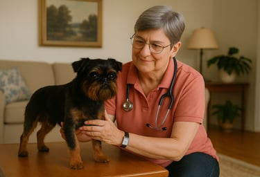 Prävention von Krankheiten Hunde und Katzen durch naturheilkundliche Beratung