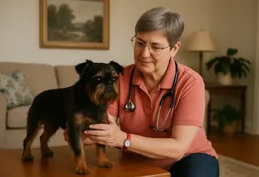 Prävention und ganzheitliche Beratung für Hunde durch mobile Tierheilpraktikerin in Hannover