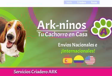 Desarrollo Web De Veterinarias