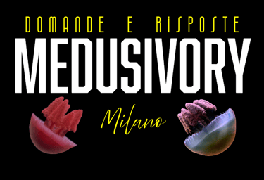 #medusivorymilano
