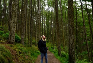 Coach Moll in a forest looking up at the trees