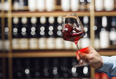 Sommelier pouring Argentine Malbec wine during a guided tasting experience in Buenos Aires
